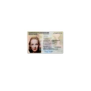 Germany-ID-Card-New-1.png