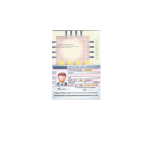 Holland-Passport-1.png