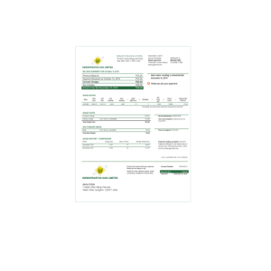 India-Indraprasth-Gas-utility-bill-1.png