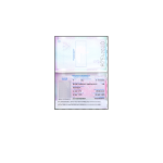 Indonesia-Passport-1.png