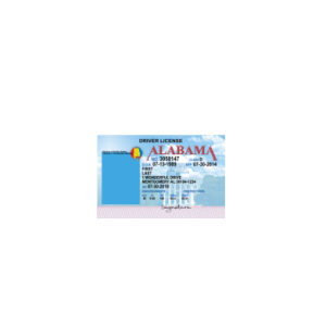 USA-Alabama-Driver-license.psd-1.png