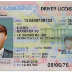 USA-Carolina-Driver-License-v2-a-1