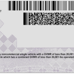 USA-Carolina-Driver-License-v2-b