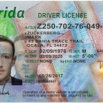 USA-Florida-Deriver-license-v3.psd-1-1