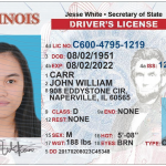 USA-ILLINOIS-License-driver-1-1-1024x652