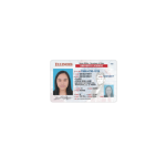 USA-ILLINOIS-License-driver-1.png