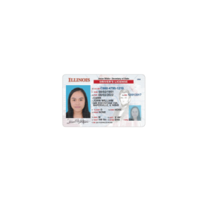 USA-ILLINOIS-License-driver-1.png