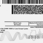 USA-ILLINOIS-License-driver-2
