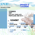 USA-Maine-Driver-License-v2-a-1