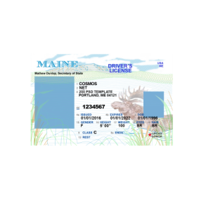 USA-Maine-Driver-License-v2-a.png