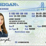 USA-Michigan-Driver-license.psd-1-1
