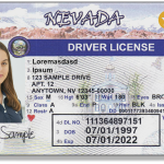 USA-Nevada-Driver-license.psd-1-1