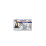 USA-Nevada-Driver-license.psd-1.png