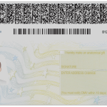 USA-New-York-Driver-license.psd-2