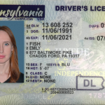 USA-Pannsilvania-Driver-License-copy-1-1
