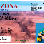 Usa-Arizona-Driver-Lisence-2