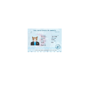 Usa-Electronic-Cat-Passport-1.png