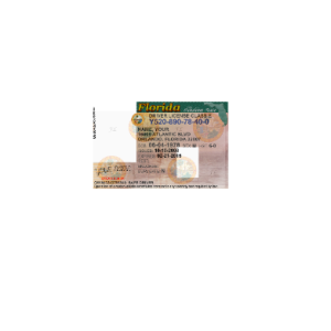 Usa-Florida-Driver-License-1.png