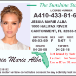 Usa-Florida-Driver-Lisence-New-2