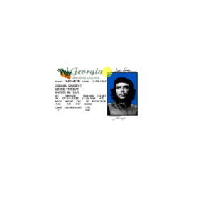 Usa-Georgia-Driver-License-1.png