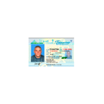 Usa-Tenessee-Driver-Lisence-1.png