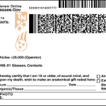 Usa-Tenessee-Driver-Lisence-3