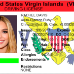 Usa-Virgin-Islands-Driver-Licence-2