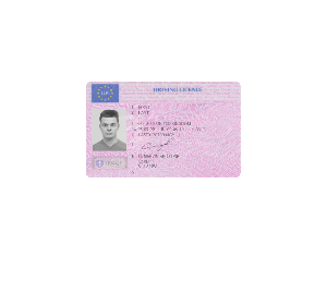 dl_gbr1-copy-1.png